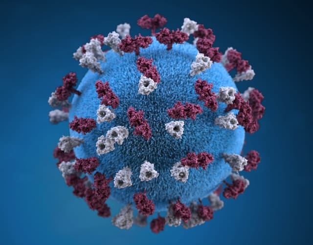measles virus with glycoprotein tubercles