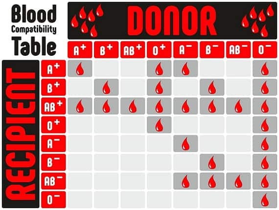 Blood Type Matching Chart