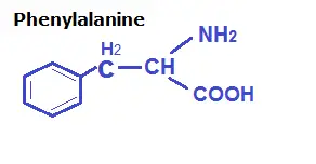 phenylalanine