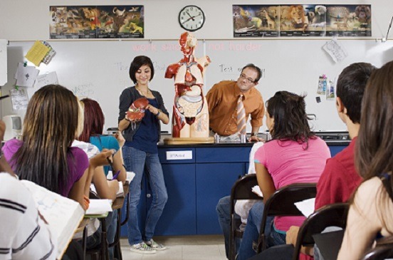 anatomy class