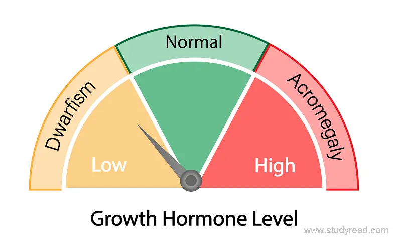 Growth hormone Disorders