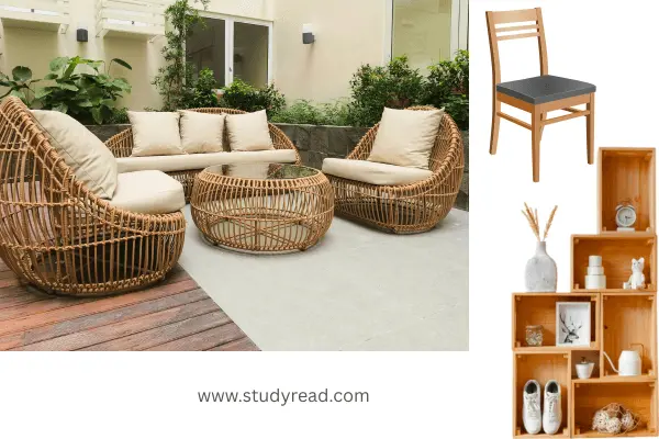 uses of plants
