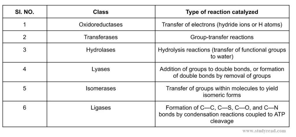 Types of enzymes in table format