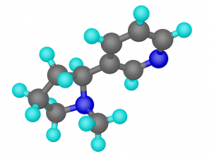 What are biolmolecules