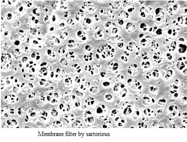 Membrane filter structure-Sterilization Methods