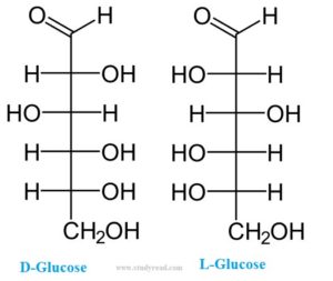 How to study biochemistry molecules