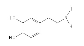 Image of dopamine neurotrasmitter