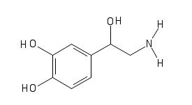 norepinephrine-1