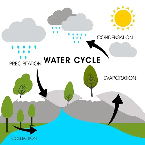 supports water cycle