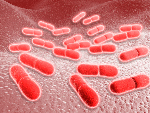 types of microorganisms