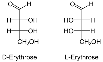 Monomer of Carbohydrates