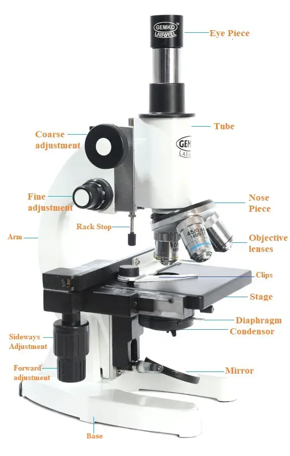 Microscope Parts 