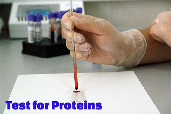 Test for proteins