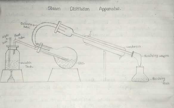Types of distillation- steam distillation