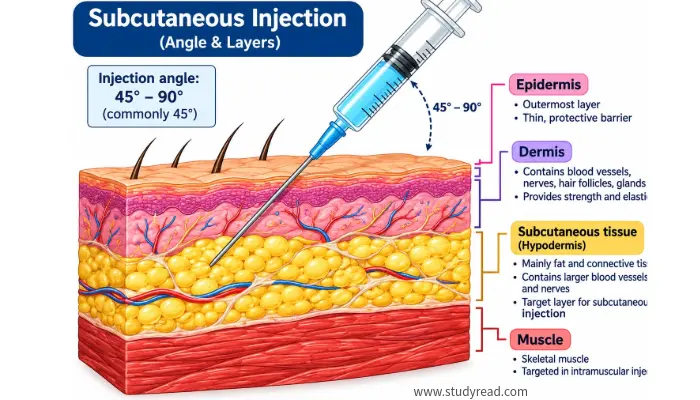 Subcutaneous Injection diagram