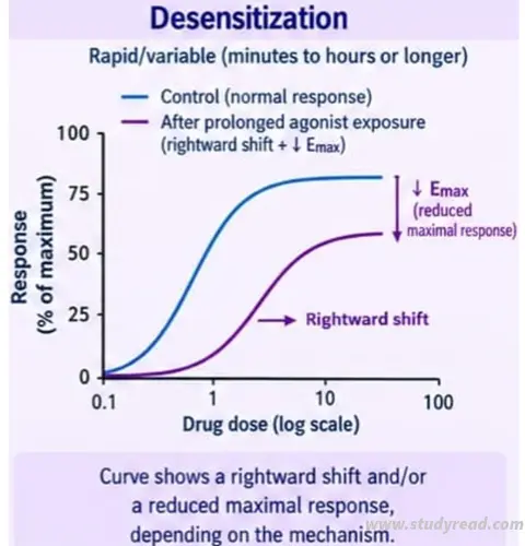 Dose response curve of Desensitization